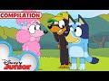 Bluey Compilation | S1 Full Episodes | Keepy Uppy & MORE! | @disneyjr x@BlueyOfficialChannel