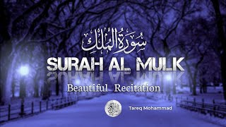 Surah Al-Mulk beautiful Recitation سورة الملك | by Tareq Mohammad
