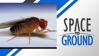 Space to Ground: "Flying" High: 1/9/15
