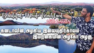 கனடாவின் அழகிய இலையுதிர்காலம்/Beautiful Mont-Tremblant/இயற்கையின் அழகோ அழகு/Quebec/Canada/SS/தமிழ்