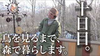 水曜どうでしょうハウスで野鳥観察の刑。十日目。どしゃ降りとカモ。