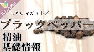 【ブラックペッパー精油】の基礎情報、使い方、香りの特徴、豆知識