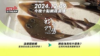 直播放映室【今晚十點 🔴LIVE】2024.12.9 公視我們的島第1285集 播出