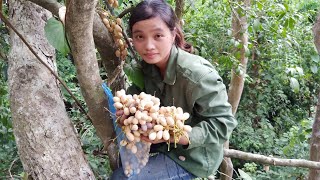 Sống trong rừng già | tập 1 | ngày đầu gặp mưa trong rừng