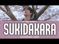 TXT (투모로우바이투게더) (BEOMGYU) - Sukidakara COVER [ORIGINAL SONG: YUIKA] [LYRICS/가사]