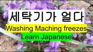 The washing machine froze / Learn Japanese  178회 / 세탁기가 얼다 / 일본어 일기