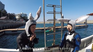 和歌山 白浜で2022年潜り納めの沈船ダイビング Wreck Diving in Wakayama Shirahama for the Last Dive in 2022 GoPro11