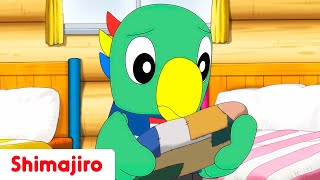 What is Flappie's Treasure? | What is so important to him? | Full Episode #29 | Shimajiro