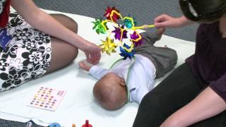 Developmental 4 - Baby