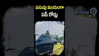 పసుపు మయంగా ఏపీ రోడ్లు | CM Chandrababu Craze In Andhra Pradesh | Shorts | Prime9 News