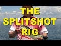 How To Rig and Use the (Mojo) Split Shot Rig | Bass Fishing