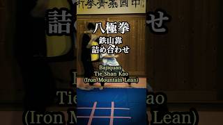 八極拳 鉄山靠詰め合わせ　 #八極拳 #中国武術 #鉄山靠 #Iron Mountain Lean