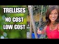 5 Easy Trellises: No Cost/Low Cost