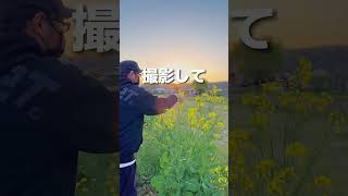 【簡単】スマホで出来る1カット動画の撮り方（撮影者:Hiro）#shorts #iphone #iphone撮影 #講座 #rkphoto