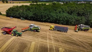 ||►WHEAT HARVEST 2022 | BÚZA ARATÁS || Hubertus Agráripari Bt.◄❘❘