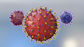 Explainer: Why the COVID-19 coronavirus was not made in a lab