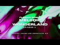 Florian Bernz - Melodic Wonderland - Episode #2 - Melodic Techno / Progressive House