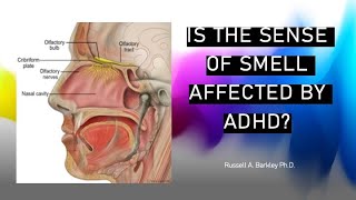 Is the Sense of Smell Affected by ADHD?