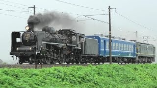 Ｃ５７形１号機　雨の本線試運転（北陸線2019/8/30）