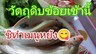 แกงปลานางใส่บวบก่อน อาหารเช้า😋👌✌️