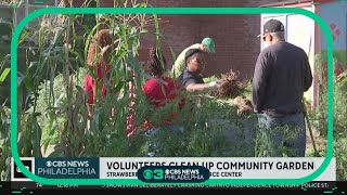 Volunteers clean up community garden in Strawberry Mansion