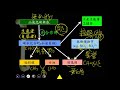 10901高一必修生物ch1 2 08光合作用在生態上的意義一溫