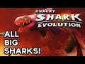 Hungry Shark Evolution | ALL BIG SHARKS! (HogsPlay)
