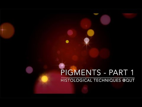Pigments Part 1 Youtube