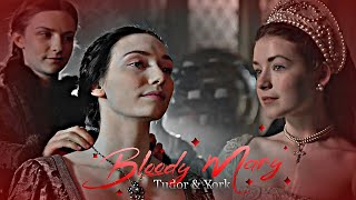Tudor & York || Bloody Mary