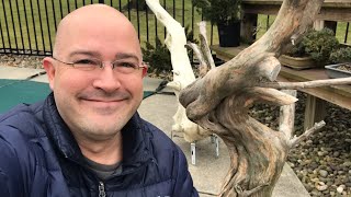 Massive Tanuki Juniper Bonsai Deadwood #2 - Preparing the base with rustproof risers