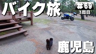 【3-69】野良猫クロと過ごした幸せな日々。【バイクでキャンプツーリング】（日本一周3周目）