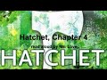 hatchet by gary paulsen chapter 4 read aloud by ms. love