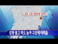 속보 포항 앞바다 파나마 선적 침몰...19명 실종 ytn