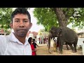 tissamaharama temple raja maha vihara tissamaharama sri lanka