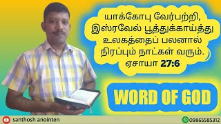 Word of God||25/04/22||யாக்கோபு வேர்பற்றி, இஸ்ரவேல் பூத்துக்காய்த்து உலகத்தைப் பலனால்...ஏசாயா 27:6||