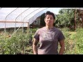 High Tunnel Initiative: NRCS helps urban farmers feed Portland