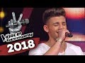 Shawn Mendes - In My Blood (Alessandro Rütten) | PREVIEW | The Voice of Germany 2018 |Blind Audition