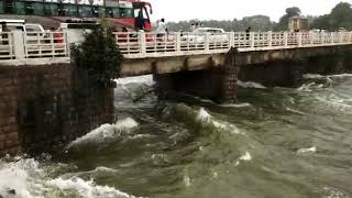 Bhadra Dam lakkavalli 14 - 08 - 2018 water level