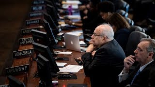 Venezuela's Parallel Ambassador Seated at OAS as Activists Defend Embassy