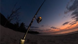 〈総重量6.6kg〉未開の砂浜で夜釣りすると…浜の大物が目を覚ます【浜釣り後半】【沖縄タマン】