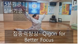 [5분기공] 실버기공 집중력향상-Qigong for Better Focus