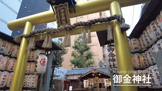 【京都散歩】御金神社/Mikane-jinja Shrine（Kyoto, Japan）