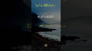Hazrat Muhammad Saw ki Payri Cheezein | 3 Things | Hadees Pak #shorts #ahsaasdiary #hadees