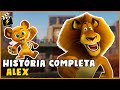 A HISTÓRIA COMPLETA do ALEX #18 | MADAGASCAR