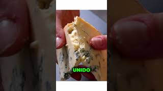 TODOS los TIPOS de QUESO que  EXISTEN - EXPLICACIÓN de las CATEGORIAS de QUESO