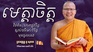 មេត្តាចិត្ត ស្ដាប់ធម៌អប់រំចិត្ត || ភិក្ខុ វជិរប្បញ្ញោ គូ សុភាព- Kou Sopheap || Dharma and Life