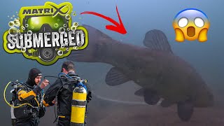 You will NEVER feed your bait this way EVER AGAIN! 😱🤯