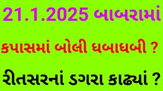 બાબરામાં કપાસના ભાવમાં ધબાધબી એકાએક તોફાની ઉછાળો રીતસર ના ડગરા કાઢી નાખ્યા ? Kapas.કપાસ.Cotton.ખોળ