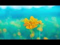 Mesut Kurtis Eid Saeed (Lyrics) ft Maher Zain