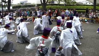 しん（スーパーよさこい2013・NHK前ストリート）